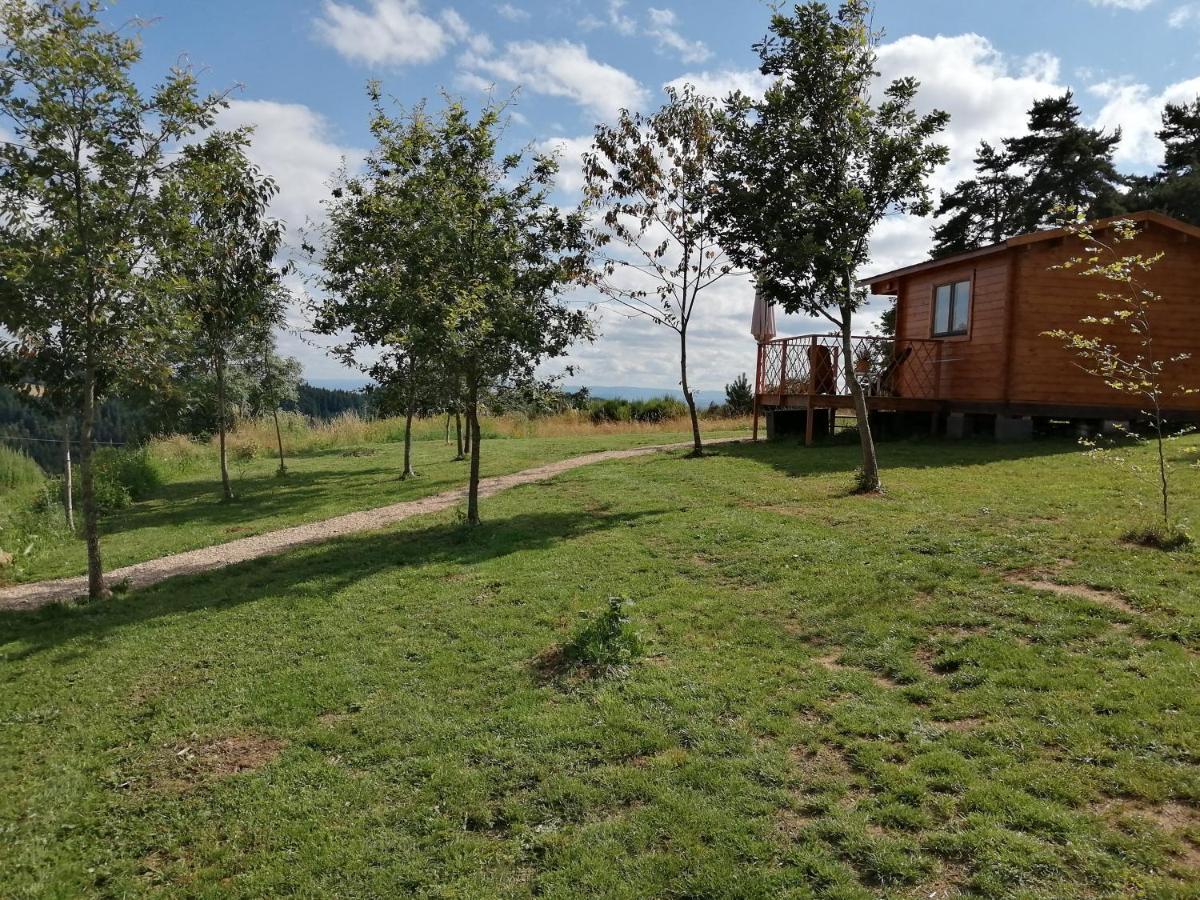 Le Chalet Des Etoiles Champagnac-le-Vieux Exterior photo